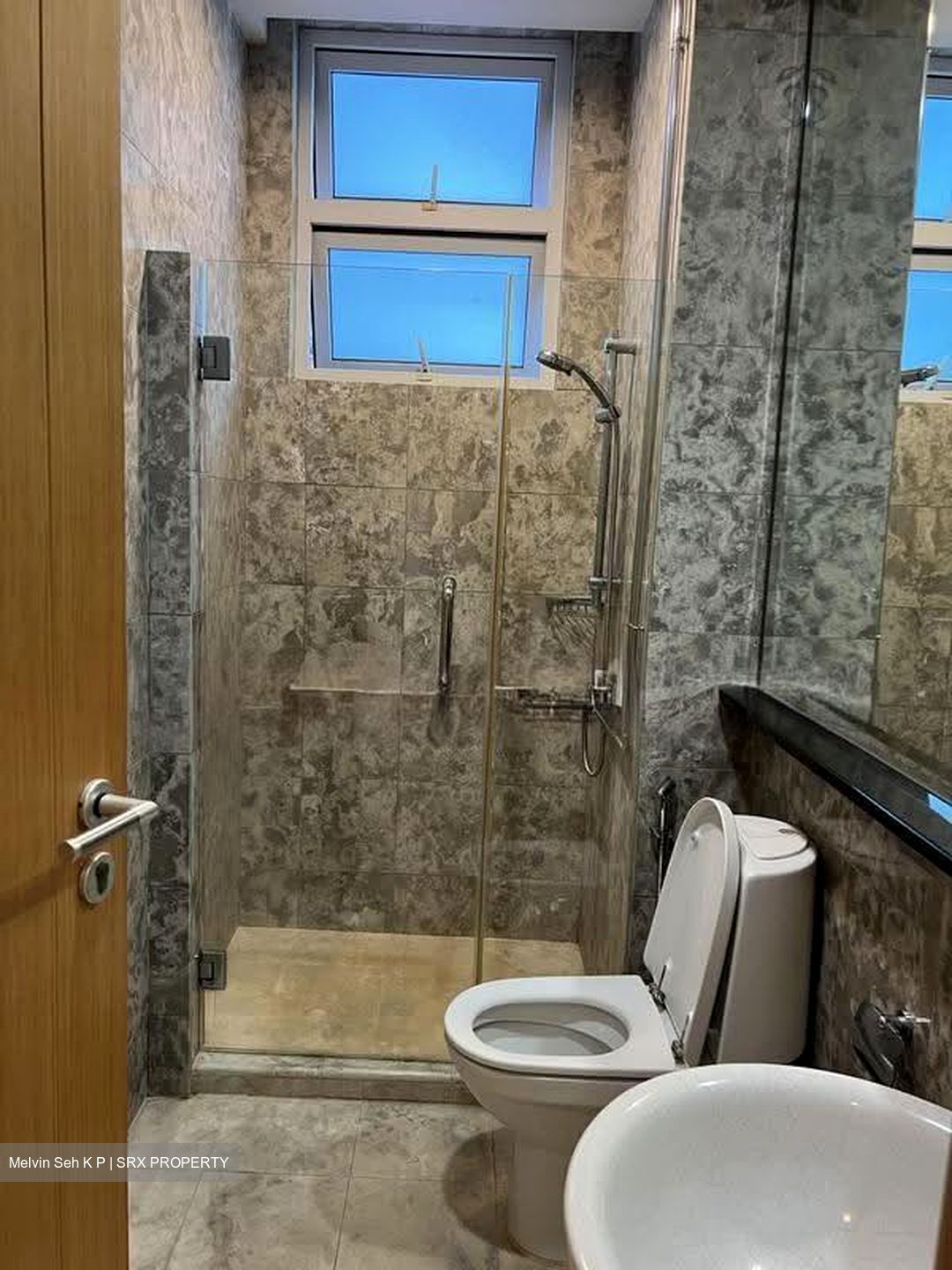 Taipan Jade (D15), Apartment #624084821